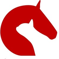 Fredrikstad Veterinærkontor