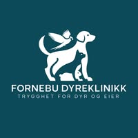 Fornebu Dyreklinikk As